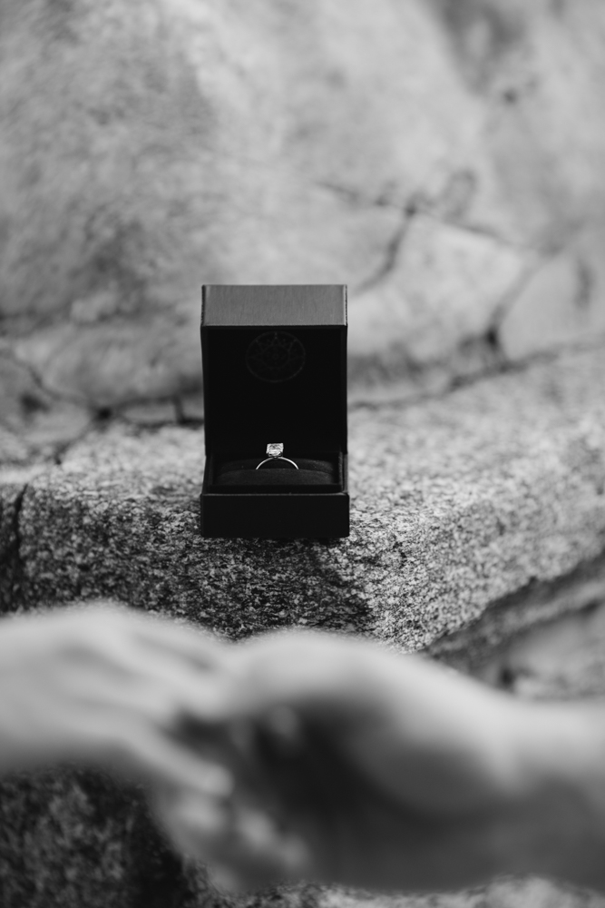 Dream proposal at a charming historic villa on Lake Como